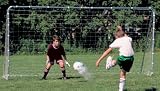 Franklin Sports 5650 Premier 5'x10' Steel Folding Soccer Goal,