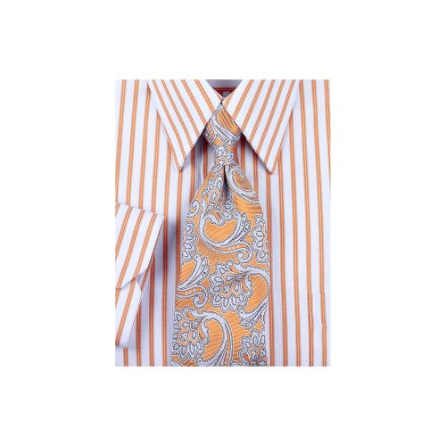 Paul Fredrick Paisley Silk Tie