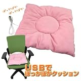 USBでぽっかぽかクッション USBHOT-F24