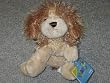 COCKER SPANIEL Webkinz Plush Toy New With Tags ( Hottest collectible toys! )