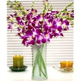 Fresh Flowers - Purple Dendrobium Orchids with Vase