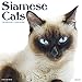 2016 Siamese Cats Wall Calendar