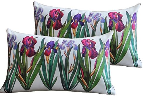 Yoovimin ®2pcs Throw Pillow Case Decorative Cushion Cover Pillowcase for Sofa Bird and Flowers 12"x20" (BF1)