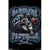 Carolina Panthers (Mascot, Grinding It Out Since 1995) Sports Poster Print - 22x34
