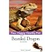 Lizards and caring for them
