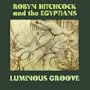 Luminous Groove