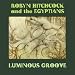 Luminous Groove