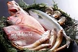 朝市広場　鮮魚セット　（指定日不可） 朝市
