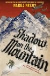 Shadow on the Mountain