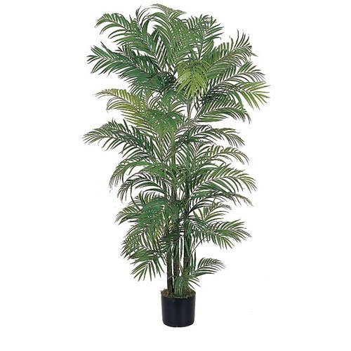 C. Alan 5002 Areca Silk Palm Tree 6'