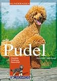 Pudel: Charakter, Erziehung, Gesundheit