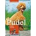 Pudel: Charakter, Erziehung, Gesundheit