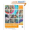 Research for Effective Social Work Practice (New Directions in Social Work)