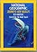 National Geographic Journeys with Wildlife Sea Monsters: Search for the Giant Squid
