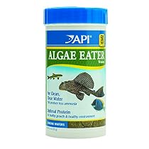 API Algae Eater Alage Wafer, 6.4-Ounce
