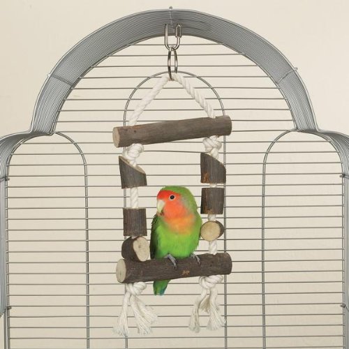 Brainy Bird Natural Knots Toy Timber Tie