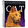 Cat Gallery Calendar 2010 (Page-A-Day Gallery Calendars)