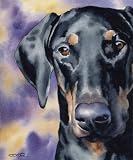 Doberman Pinscher Dog Art Print Signed by Artist DJ Rogers