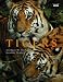 Tigers