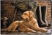 Patience Golden Retreiver Hunting Doormat Mat Rug