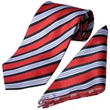 Boston Traveler Platinum Mens Striped Tie Hanky Set
