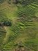 Rice Terraces of the Ailao Mountains, Honghe Prefecture, Yuanyang, Yunnan Province, China Photographic Poster Print