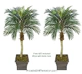 TWO 5' Phoenix Coconut Artificial Tropical Palm Trees, with No Pot