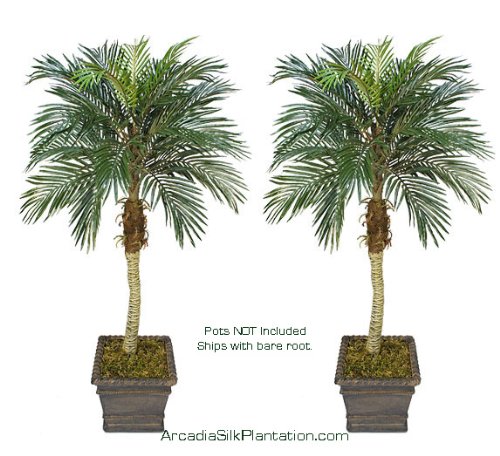 TWO 5' Phoenix Coconut Artificial Tropical Palm Trees, with No Pot