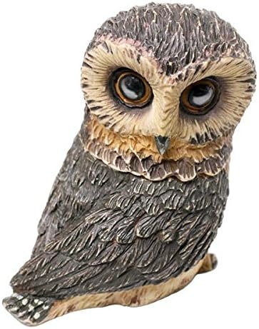 Owl Pot Bellys� Boxes - Saw-Whet Owl