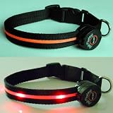 Dog Collar with Orange LED Lights, Multi-Function, Medium