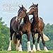 Magnificent Horses 2016 Wall Calendar