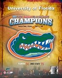 Florida Gators Logo , 16x20