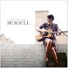 Seagull