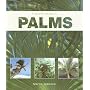 Guide to Palms