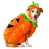 Pets' Pumpkin Costume