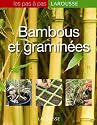 Bambous et gramin&eacute;es