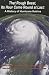 Book That Rough Beast, Its Hour Come Round at Last: A History of Hurricane Katrina