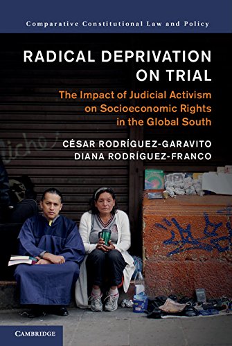 Radical Deprivation on Trial: The Impact of Judicial Activism on Socioeconomic Rights in the Global South (Comparative Constitutional Law and Policy)