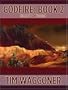 Godfire: Book 2: Heart's Wound (Five Star Science Fiction & Fantasy)