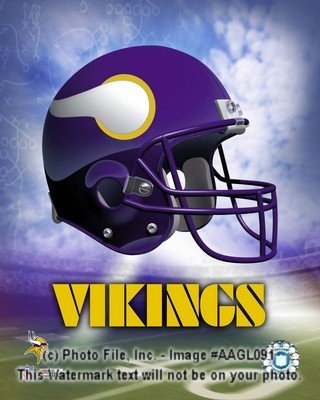 Minnesota Vikings Logo 8x10 Color Photo