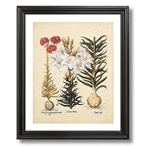 French Victorian Flower Lilies Contemporary Home Decor Wall Picture Black Framed Art Print