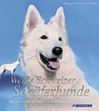 Wei&szlig;e Schweizer Sch&auml;ferhunde: Aktiv, sportlich, anh&auml;nglich