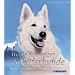 Wei�e Schweizer Sch�ferhunde: Aktiv, sportlich, anh�nglich