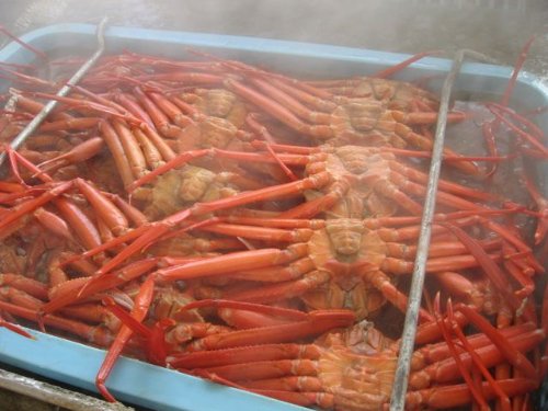 【 送料無料 ！！】訳あり紅ズワイ蟹２ｋｇ