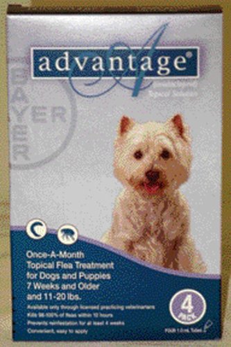 Advantage Topical Flea Treatment Teal for Dogs 11 to 20 Pounds 4 Pack