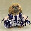 X-SMALL - SPIRIT PAWS - Pet Halloween Costume