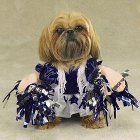 X-LARGE - SPIRIT PAWS - Pet Halloween Costume