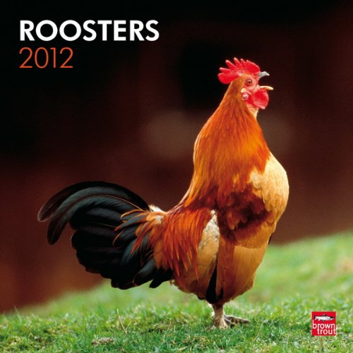 Roosters 2012 Square 12X12 Wall Calendar
