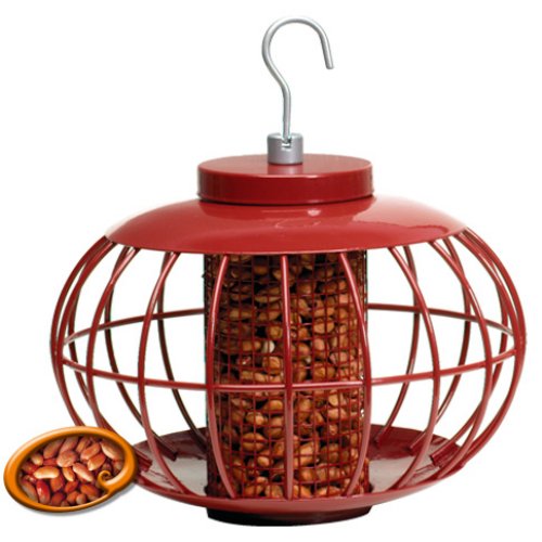 The Nuttery Squirrel and Predator Proof Chinese Lantern Nut Feeder