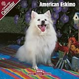 2009 American Eskimo Wall Calendar